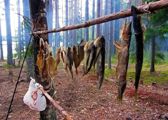 Сплав по реке Суна - фото