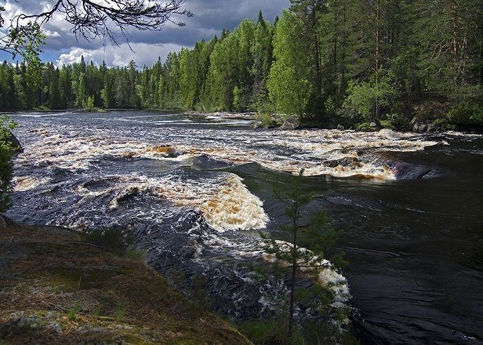 Сплав по реке Суна - фото
