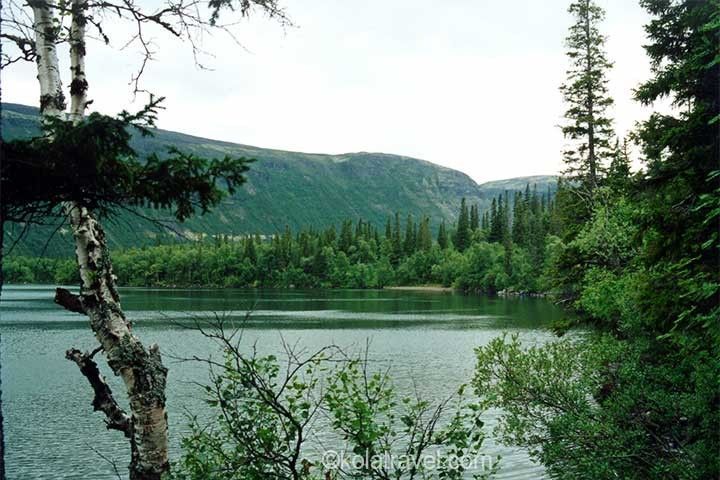 Снегоходный тур 'Саамские каникулы' - фото