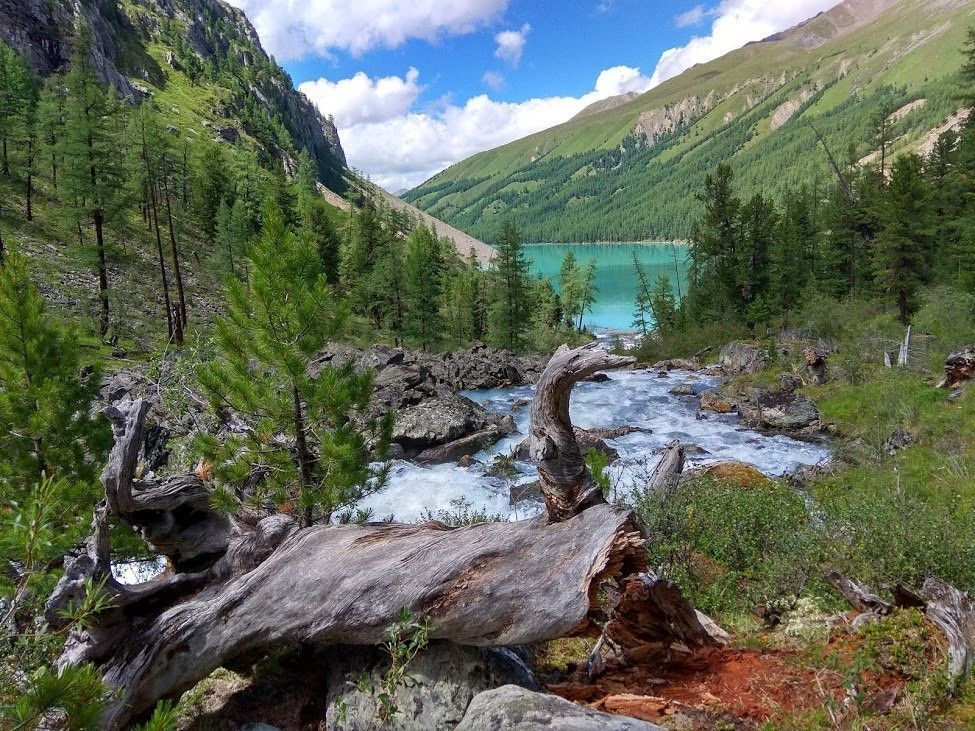 Путь к сердцу Алтайских гор! - фото