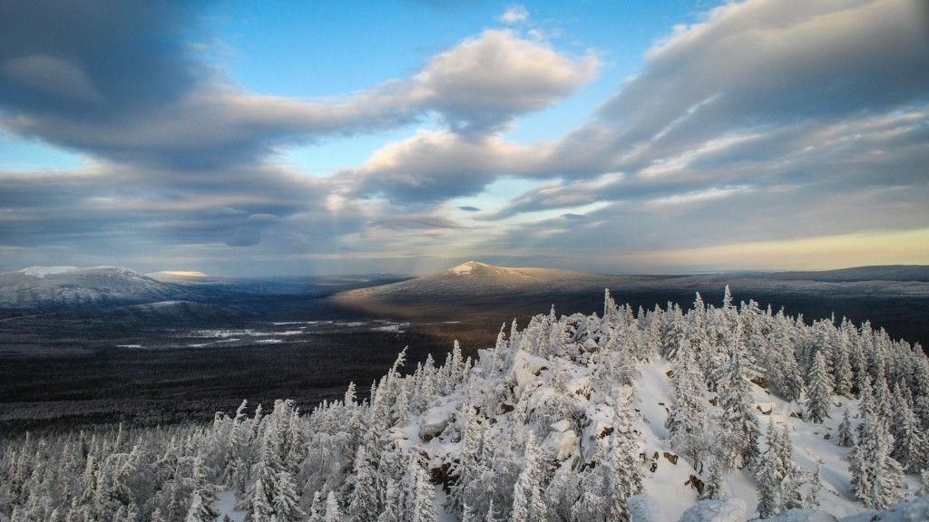 Поход выходного дня по Волгоградским степям и лесам - фото
