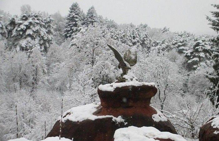 Медовые водопады - фото