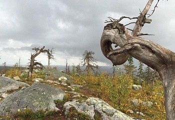 Велотур с размещением в гостевом доме на 1 мая - фото