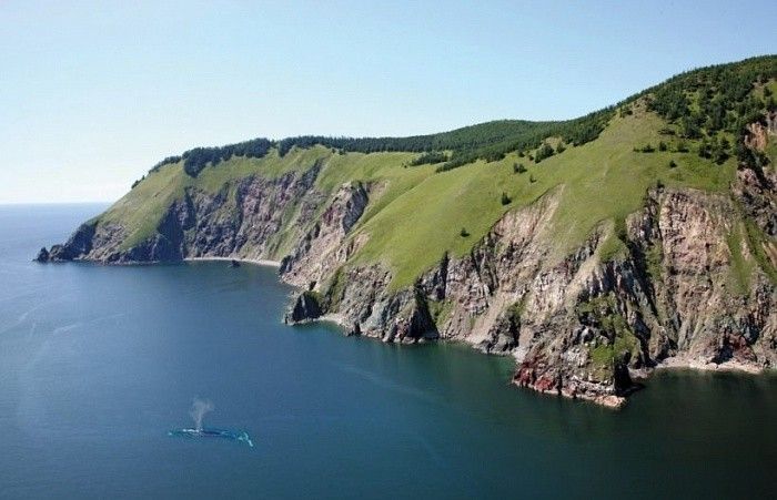 Тур на Шантарские острова - фото