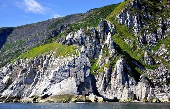 Тур на Шантарские острова - фото