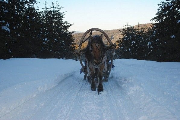 Тур «Снежный Крака» на 5 дней - фото