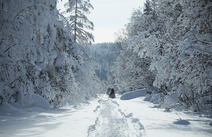 Тур «Снежный Крака» на 5 дней - фото