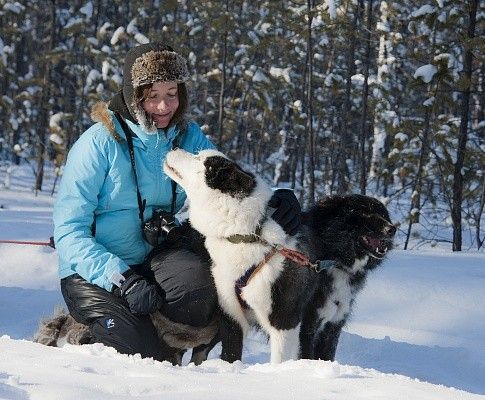 Сафари на собачьих упряжках «Школа каюра в Якутии» - фото
