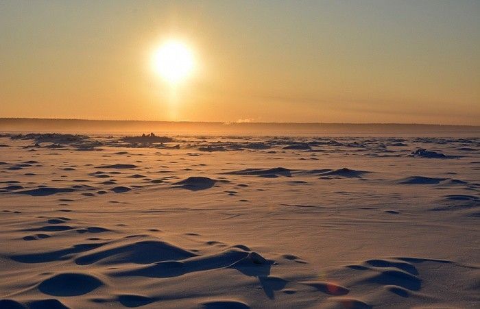 Сафари на собачьих упряжках «Школа каюра в Якутии» - фото