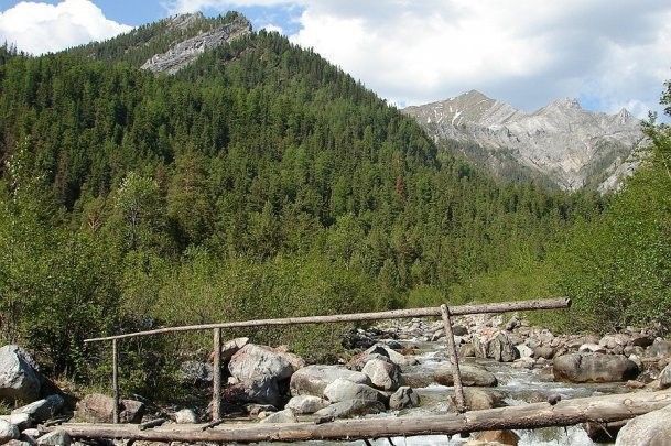 Кабы не было зимы - фото