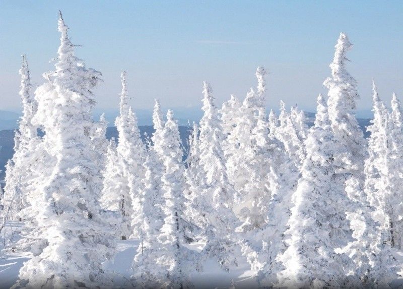 Снегоходный маршрут «Заповедные дали» - фото
