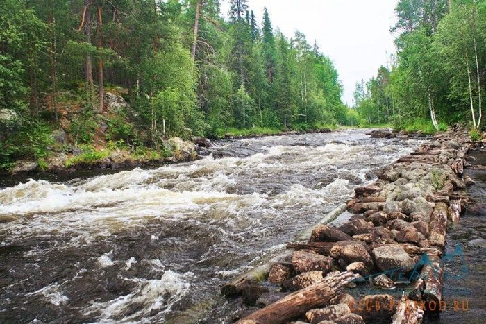 Сплав Сяпся - Шуя - фото