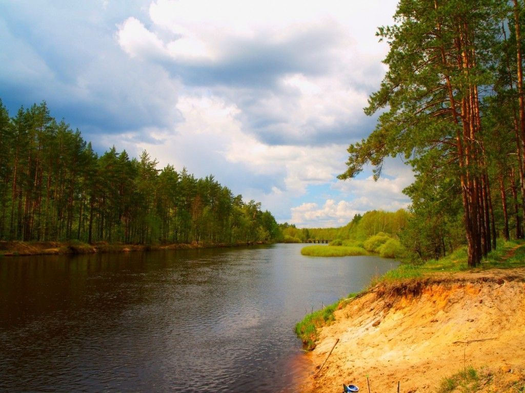 Сплав по реке Пра - фото