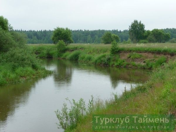 Поход выходного дня по реке Судогда - фото