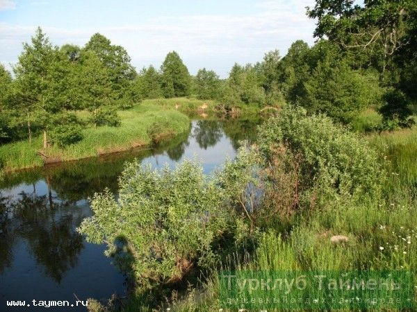 Поход выходного дня по реке Судогда - фото