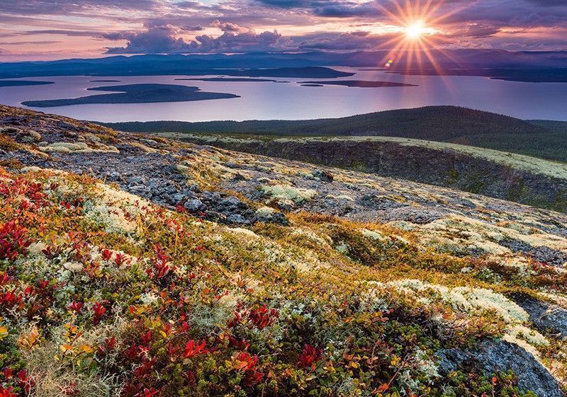 Сплав по реке Умба (тур на катамаранах с выходом в Белое море) - фото