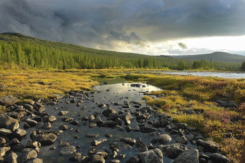 Сплав по реке Умба (тур на катамаранах с выходом в Белое море) - фото