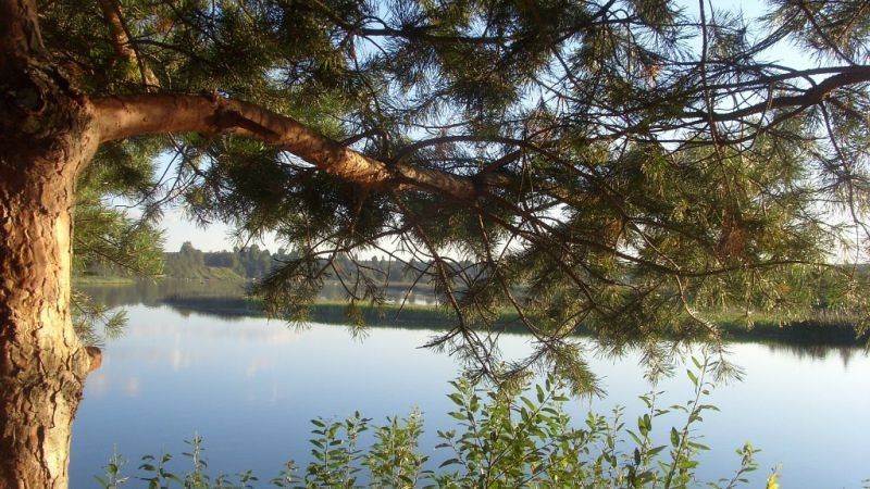 Байдарочный тур по Катке-Корожечне - фото