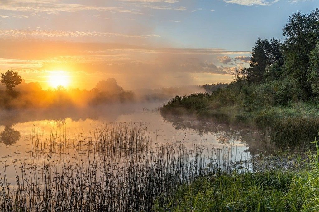 Сплав по реке Медведица - фото