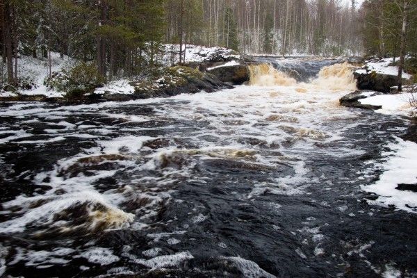 Майские праздники на Шуе - фото