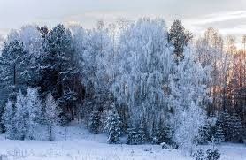 Снегоходный тур "Снежные пейзажи" - фото