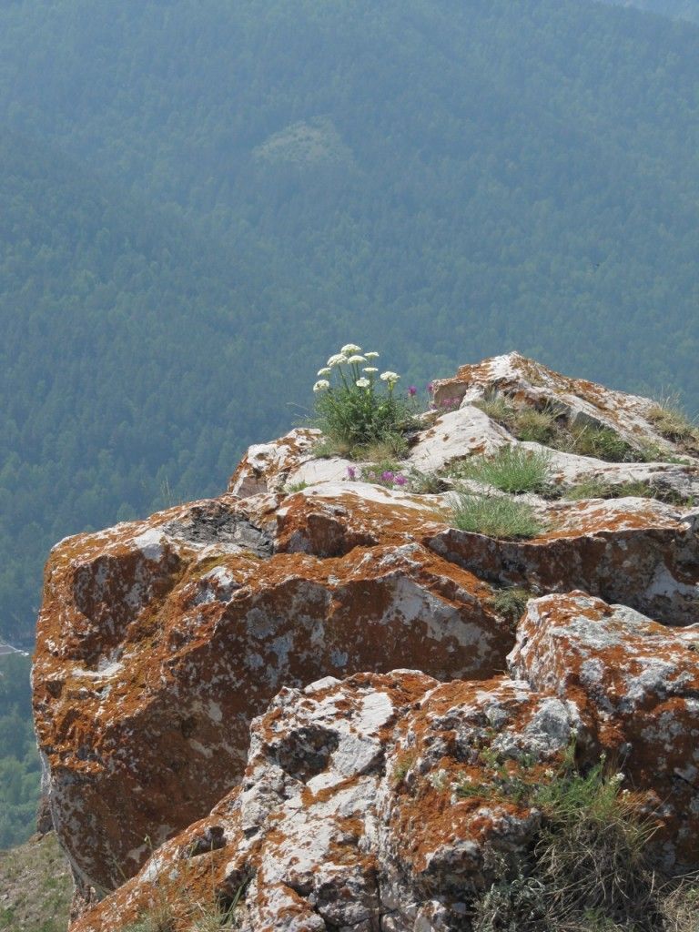 Торгашенский хребет, скалы Красный гребень и Арка - фото