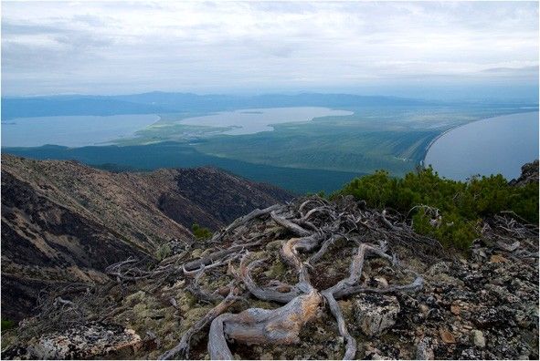 Зимняя рыбалка в Чивыркуйском заливе Байкала - фото
