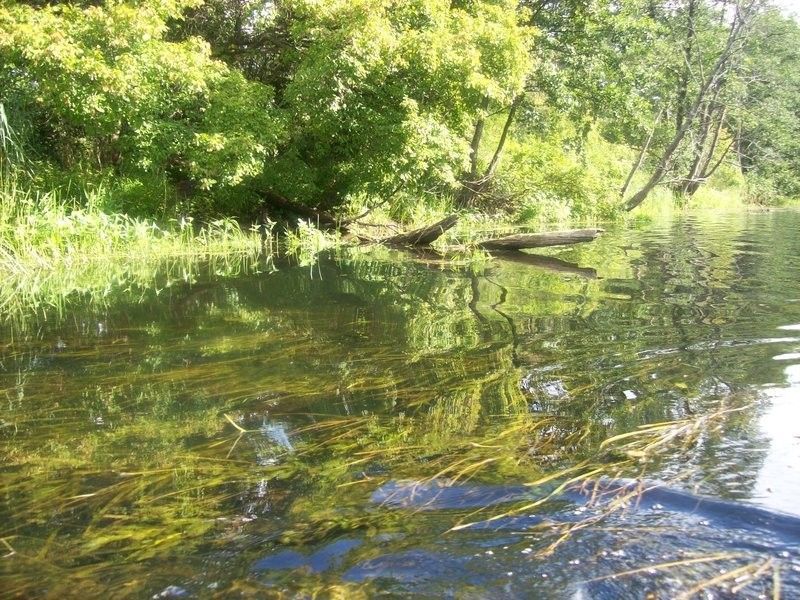 Поход на байдарках по реке Тихая Сосна и Дивногорью - фото
