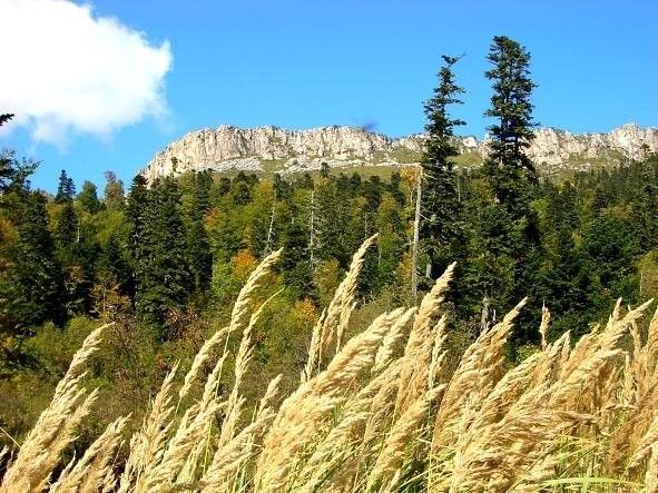 Через горы к морю - фото