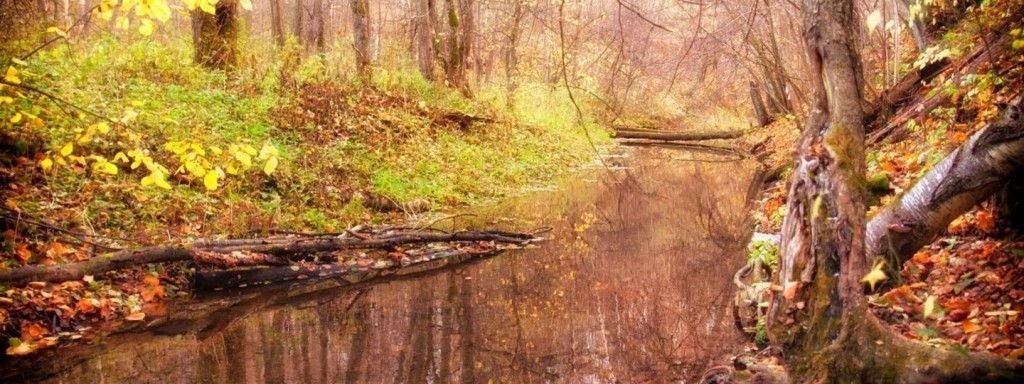 Ущелье Бунчихи (Белопесоцкий — Жилево) - фото