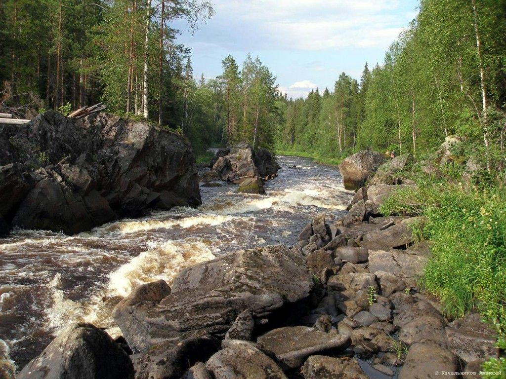 Охота и рыбалка в Дельте Печоры - фото