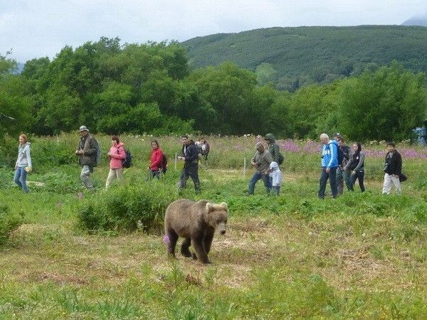Классическая Камчатка - фото
