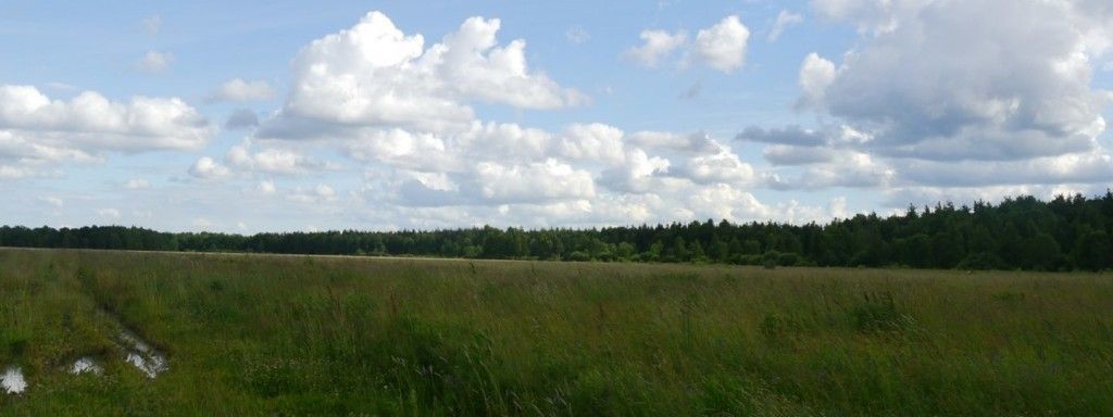 Петушинские озера (Владимирская область) - фото