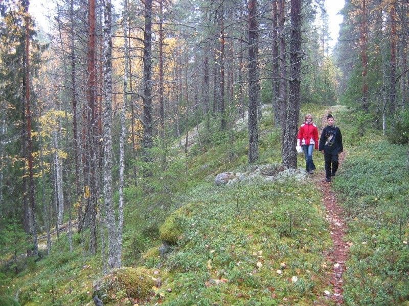 3 дня на верхней Шуе. Для начинающих экстремалов. - фото