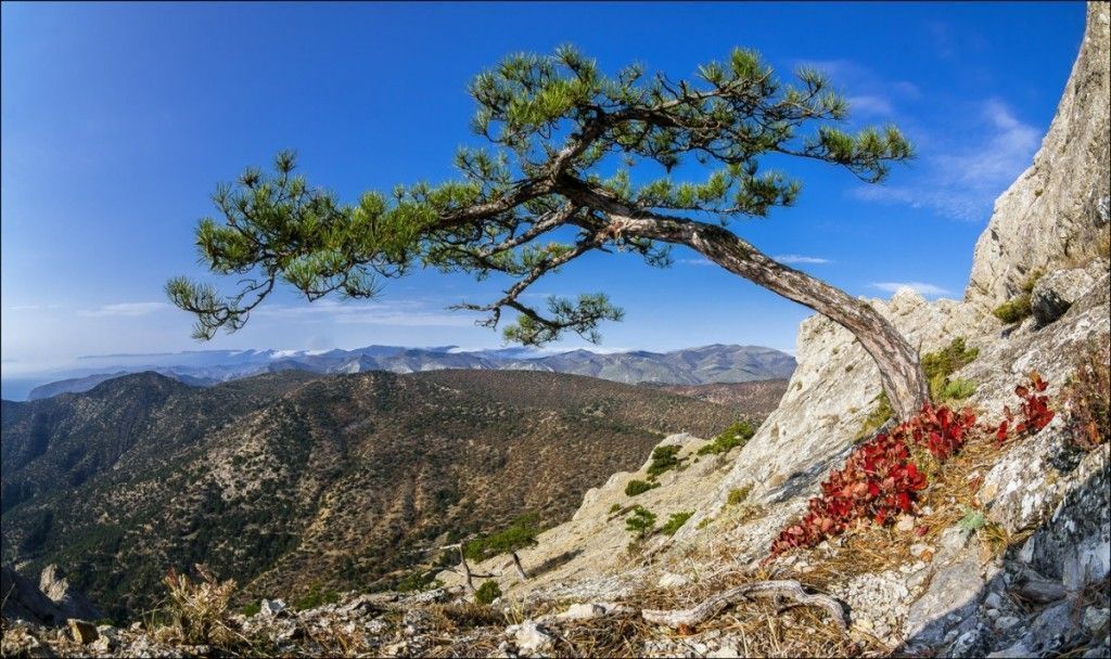 "ВСЕ ГОРЫ КРЫМА ЗА 7 ДНЕЙ" - фото
