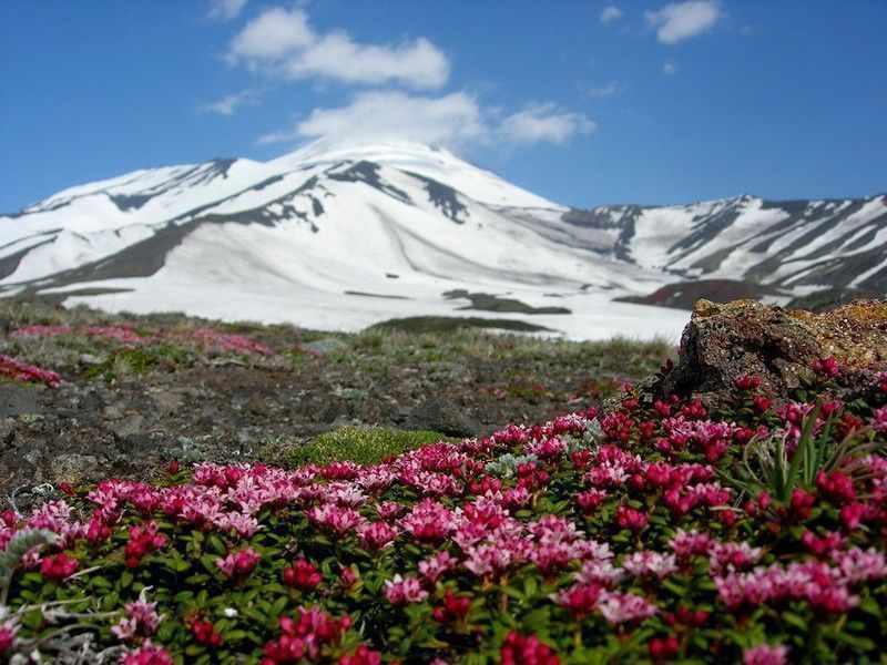 Путешествие на Камчатку - фото