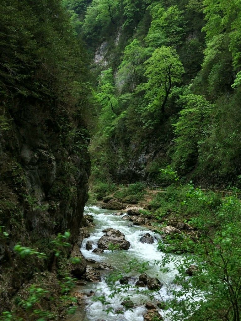 Гуамское ущелье и дорога на Мезмай - фото
