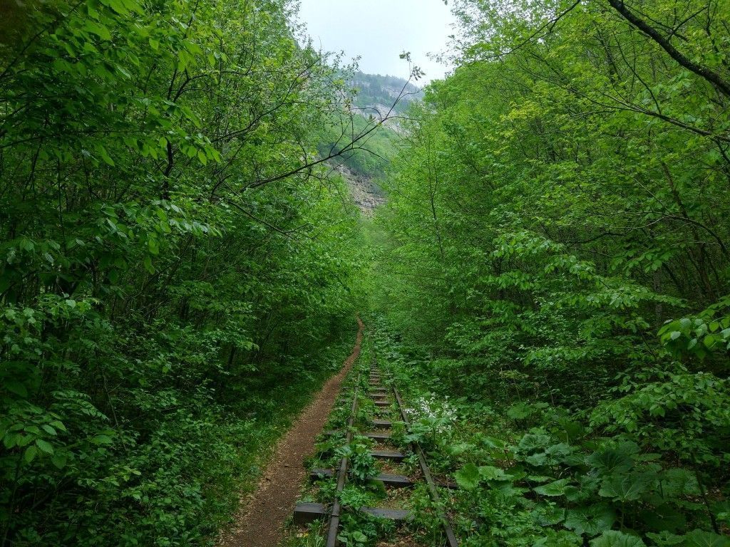 Гуамское ущелье и дорога на Мезмай - фото