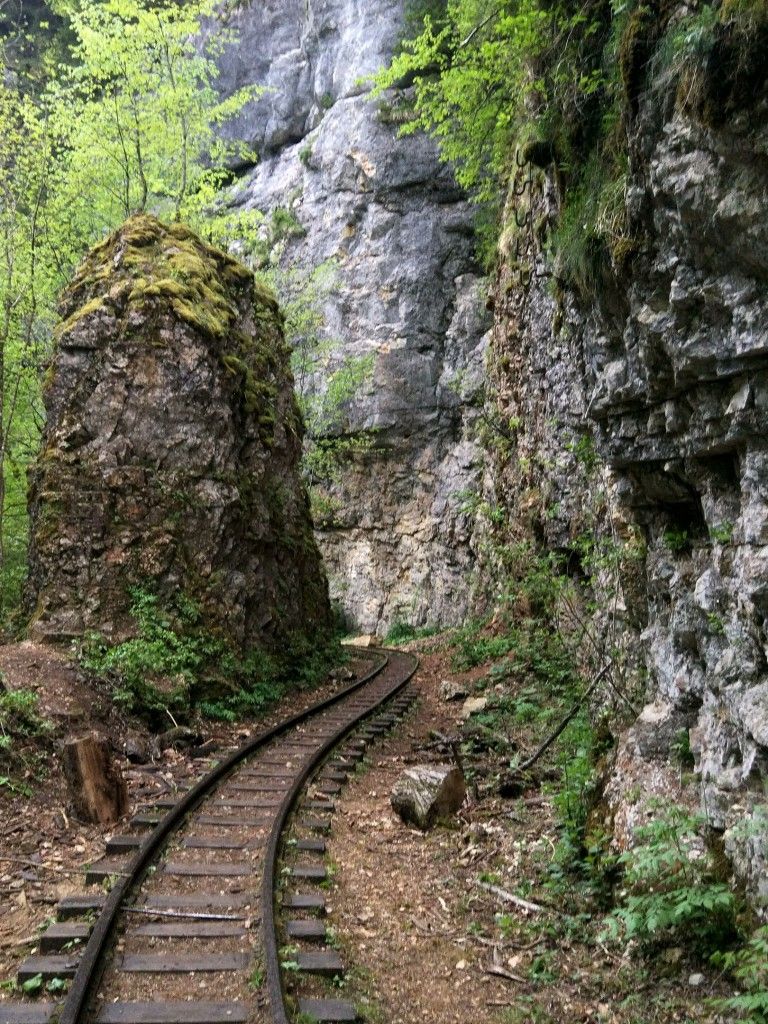 Гуамское ущелье и дорога на Мезмай - фото