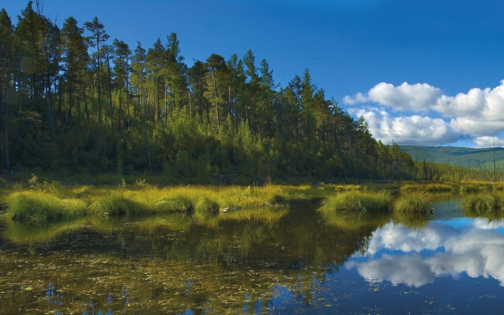 Байкальский "нон-стоп" - фото