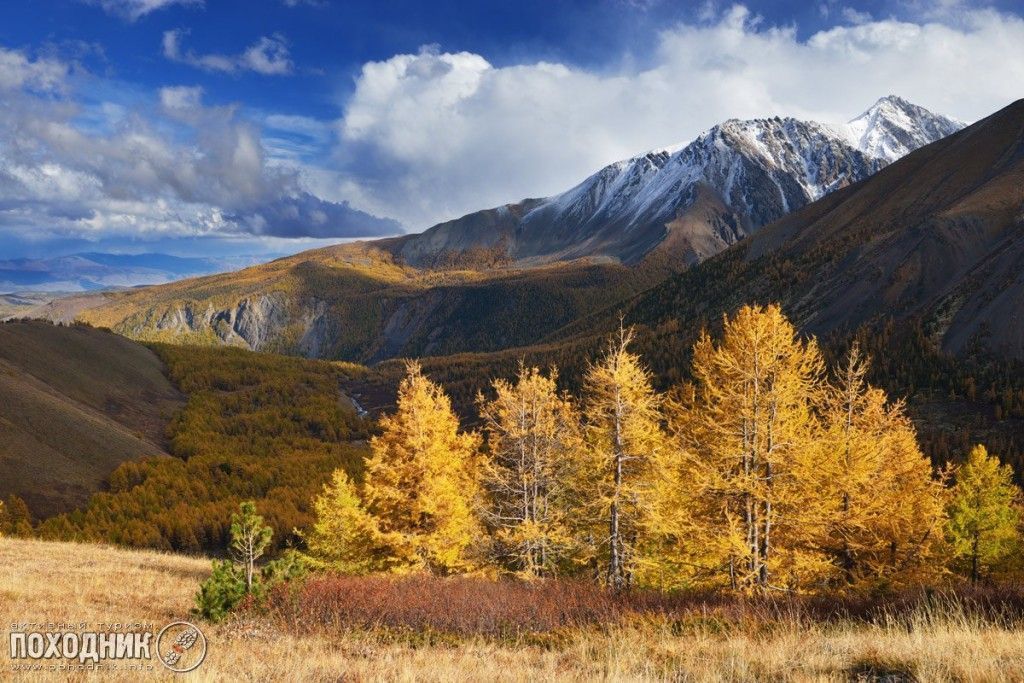 Усть-Кокса - Артыбаш (велосипедный) - фото
