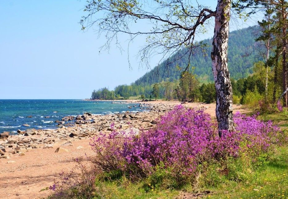 Поход вдоль берега Байкала - фото