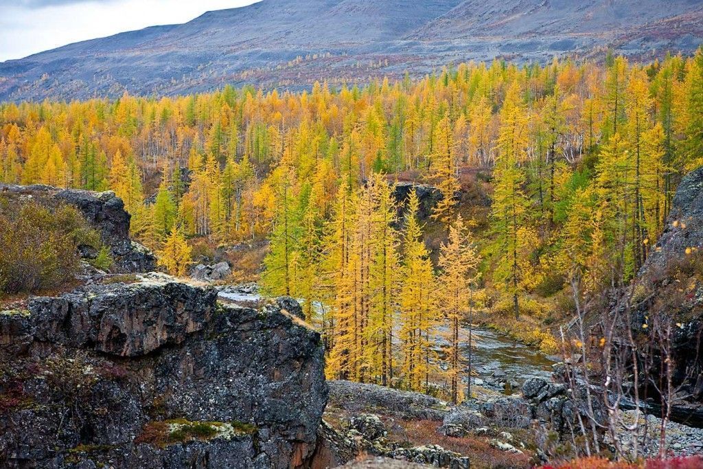 Горы Бырранга. Таймыр. - фото