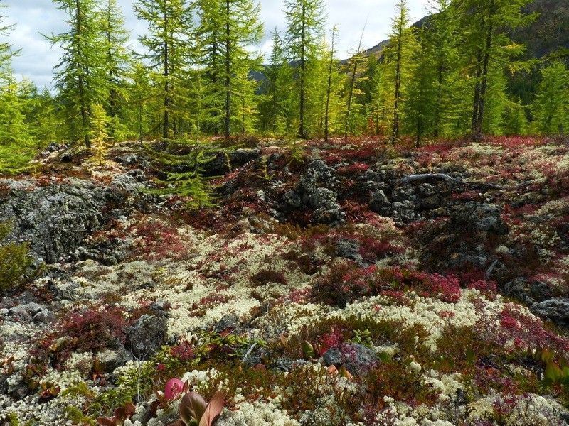 Рафтинг на Оке Саянской - фото