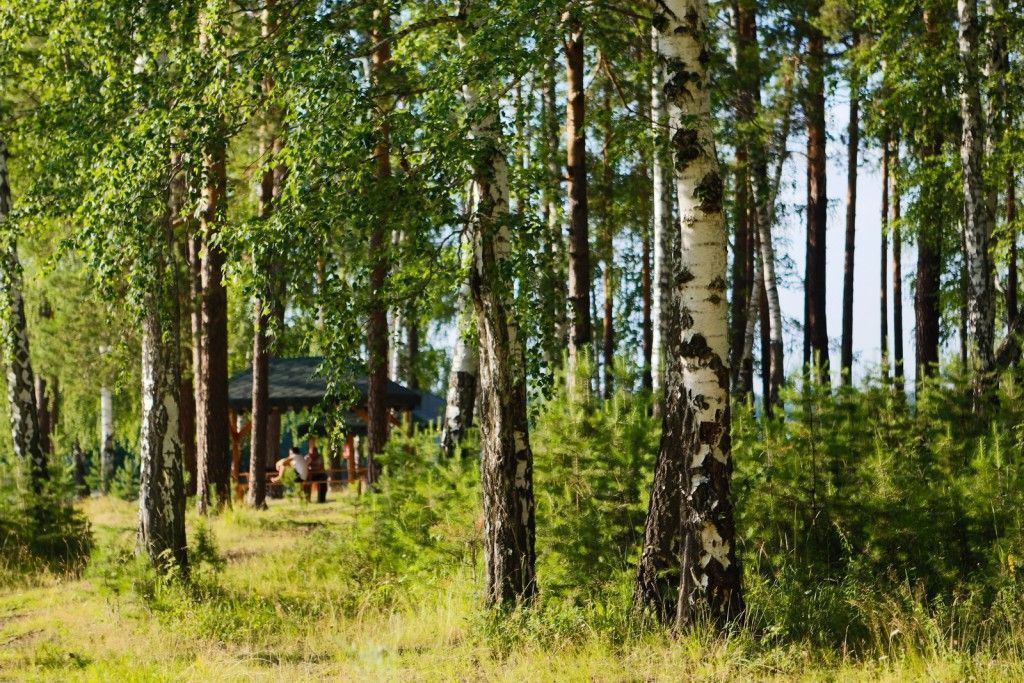 велосипедный маршрут из Екатеринбурга (р-н Уралмаш) до оз. Балтым - фото