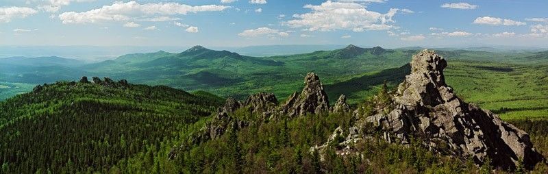 Ялангас - фото