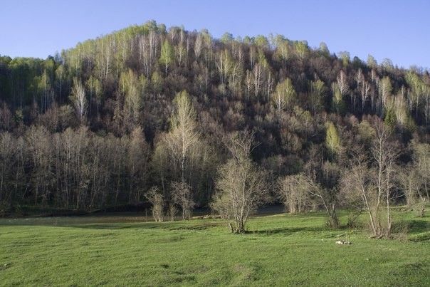 «Уральский релакс». Экскурсия на хребет Аджигардак и Ашинские скалы - фото