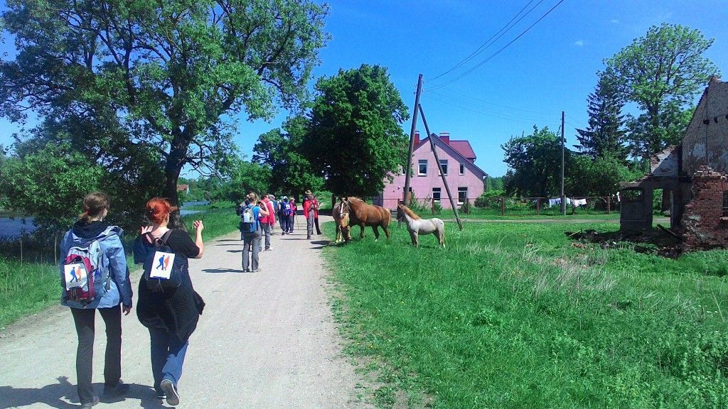Пешие кроссы - фото
