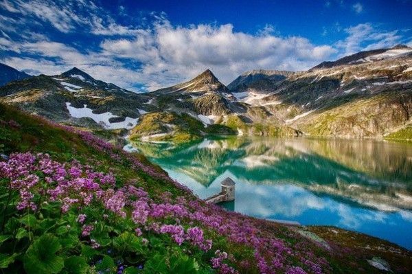 Путешествие в Абхазию и Сочи - фото