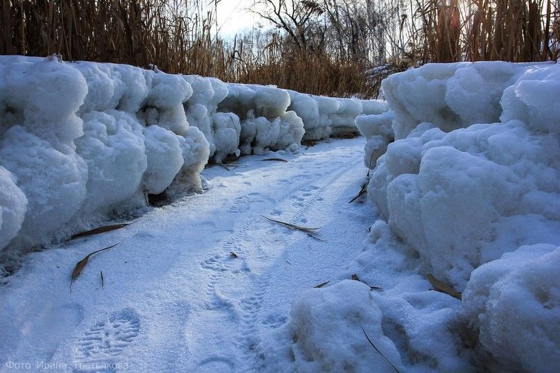 Пешеходная/лыжная прогулка по руслу реки Утяк. Гидротехнические сооружения на реке Утяк. - фото